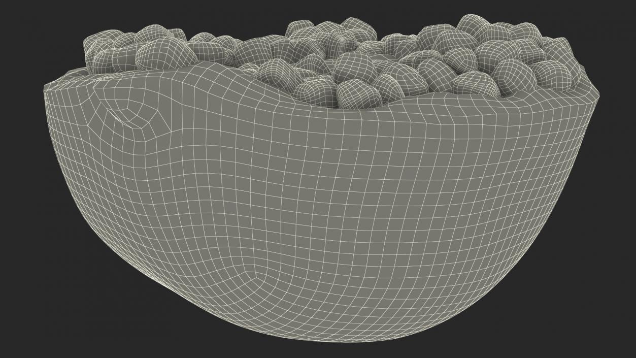 3D Cross Section of Pomegranate Red Fruit model