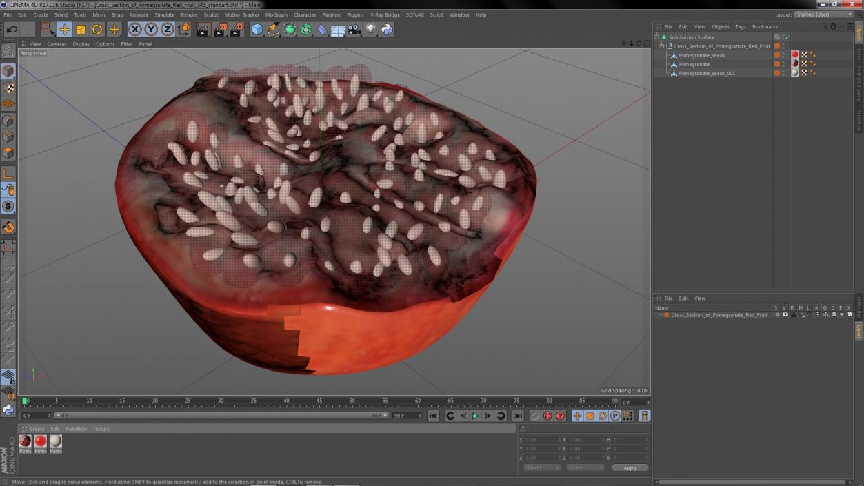 3D Cross Section of Pomegranate Red Fruit model