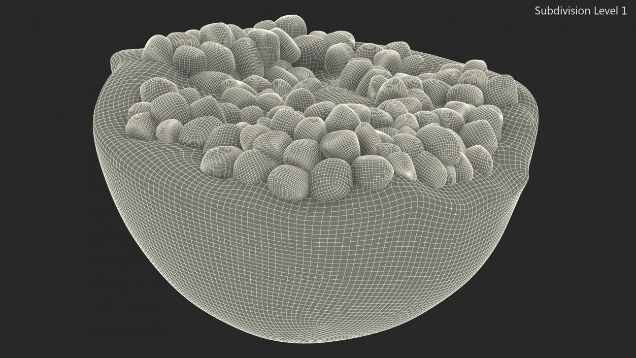 3D Cross Section of Pomegranate Red Fruit model