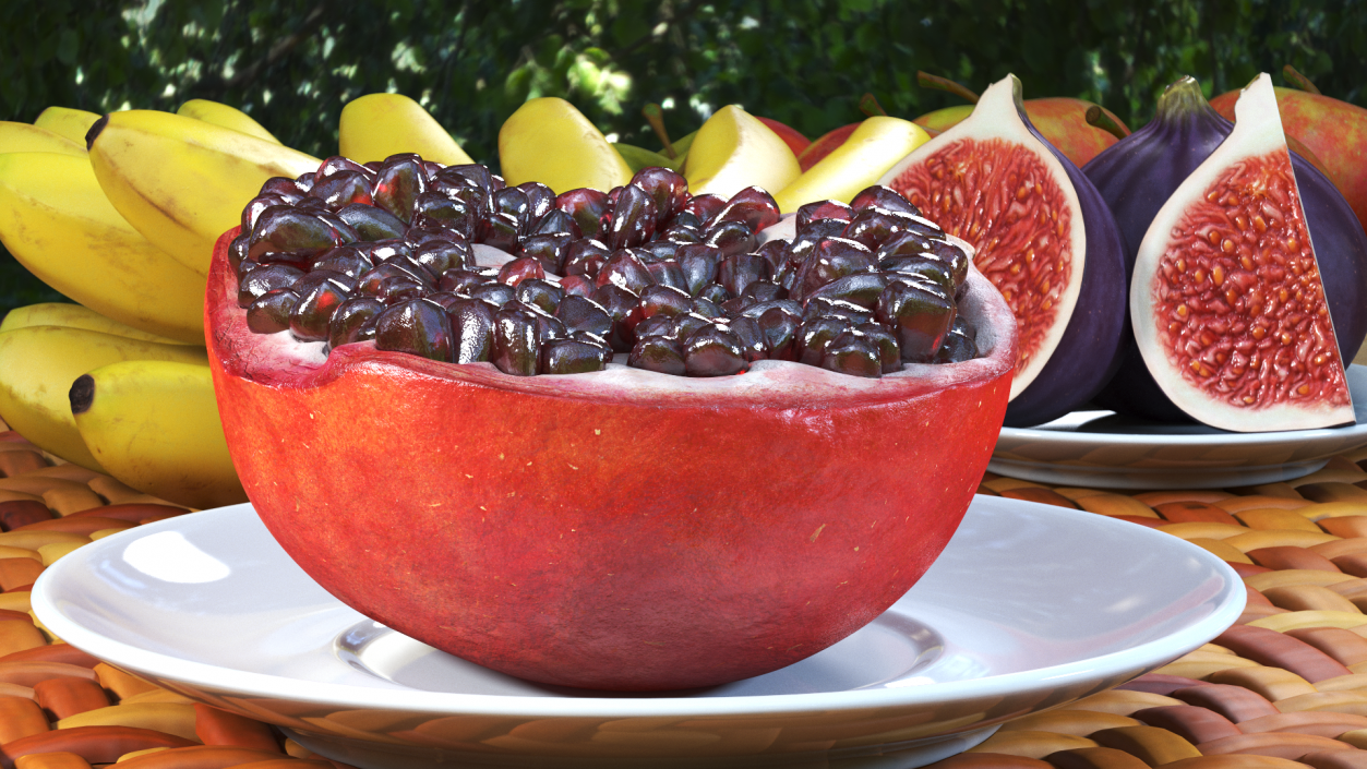 3D Cross Section of Pomegranate Red Fruit model