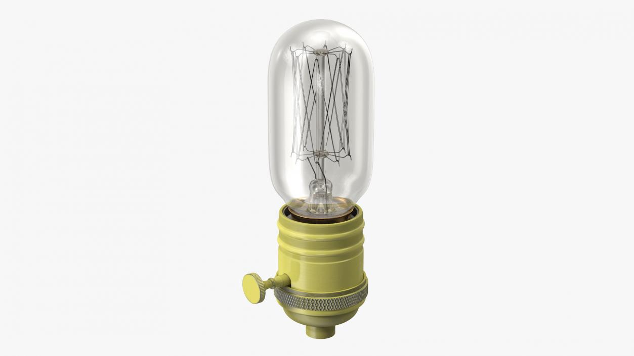 3D Brass Lamp Holder with Light Bulb model