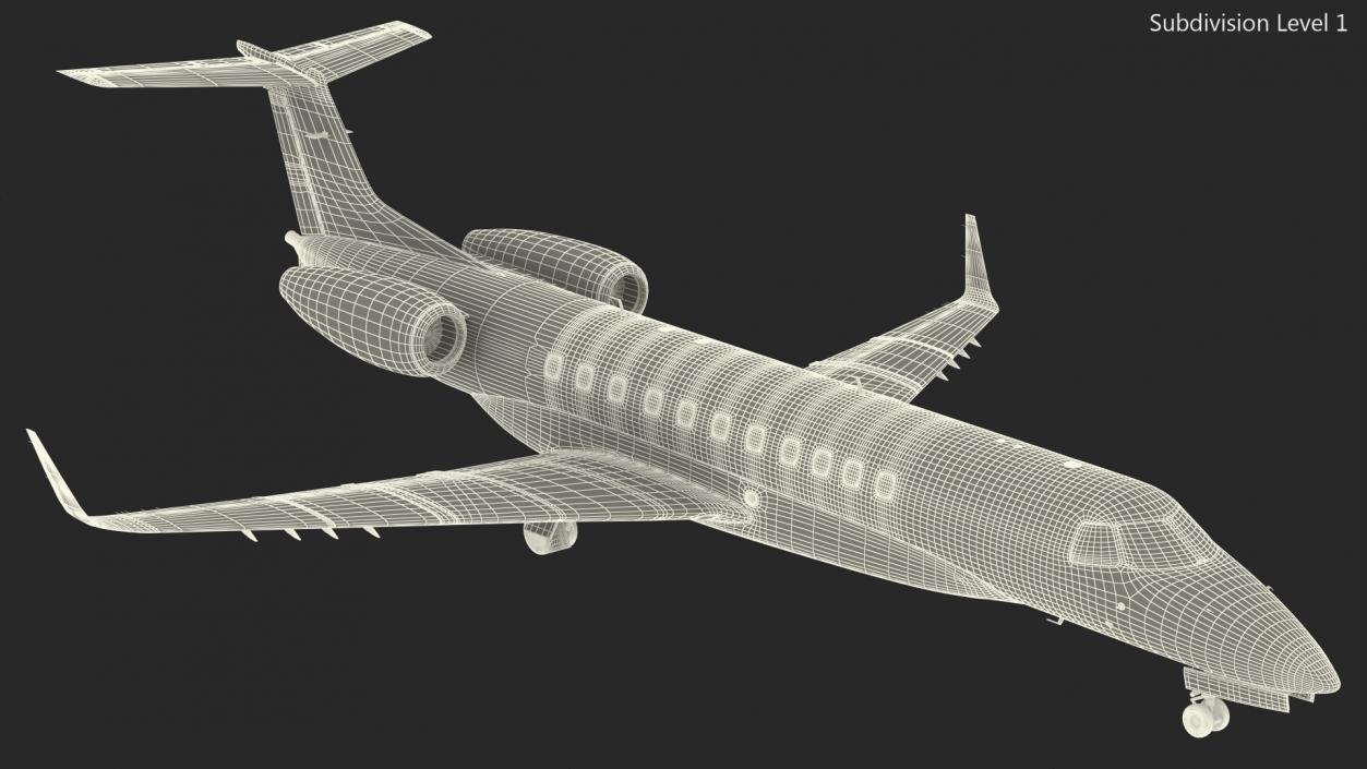 3D model Private Jet Embraer Legacy 650E In Aircraft Hangar