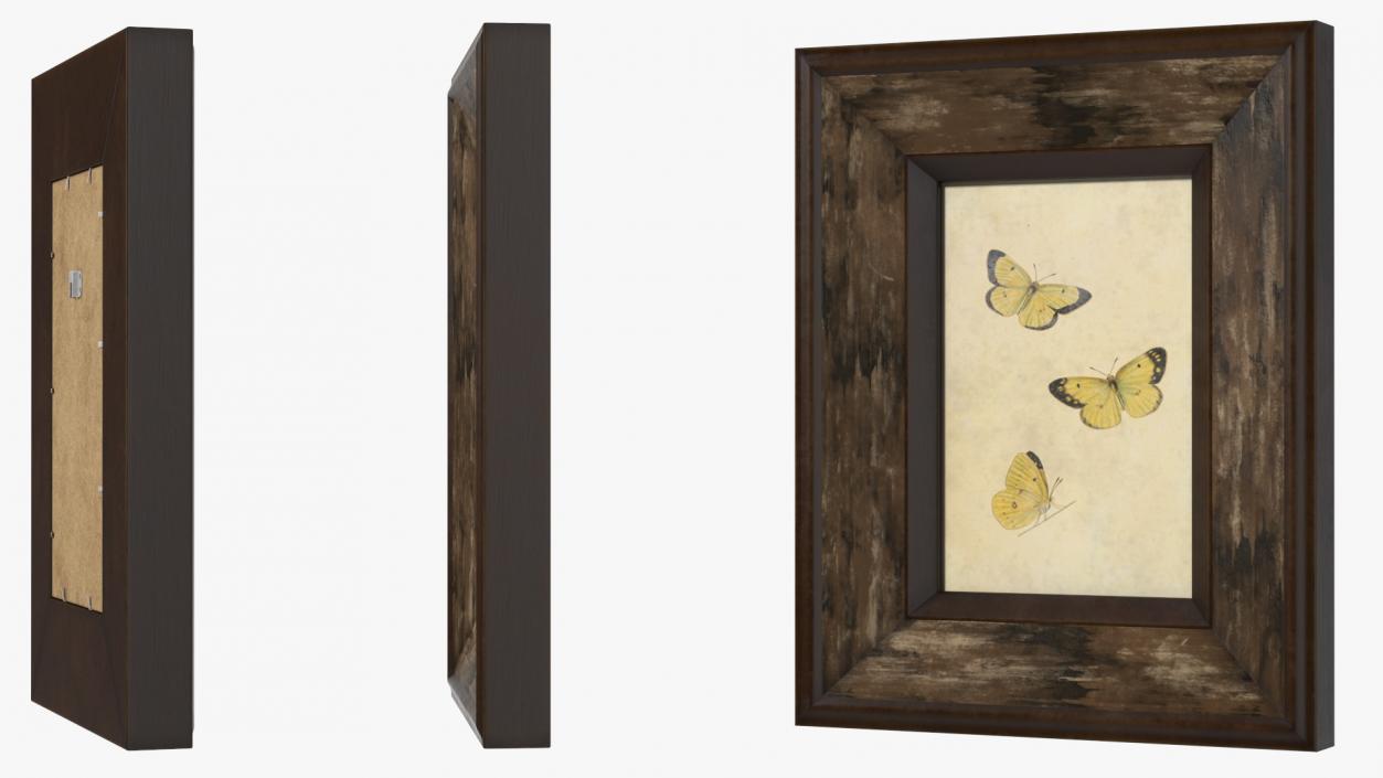 3D model Vintage Ornate Frames Set