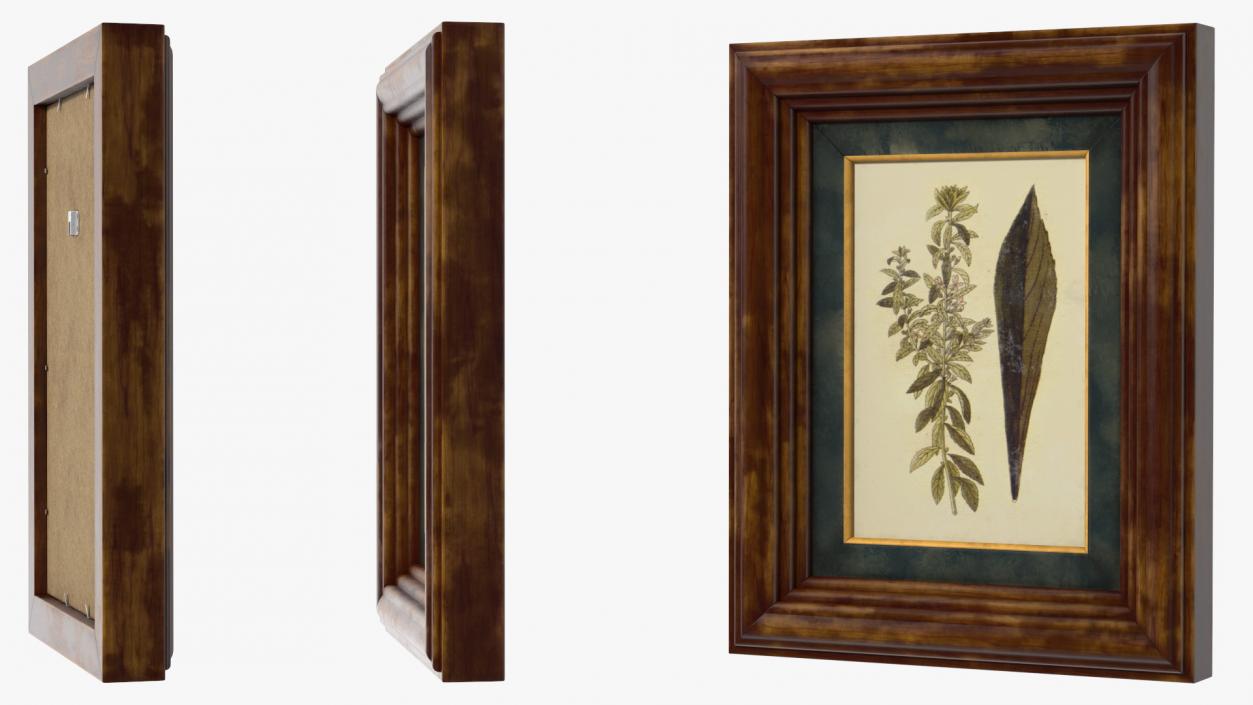 3D model Vintage Ornate Frames Set