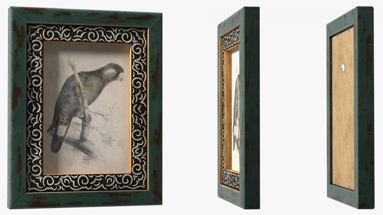 3D model Vintage Ornate Frames Set