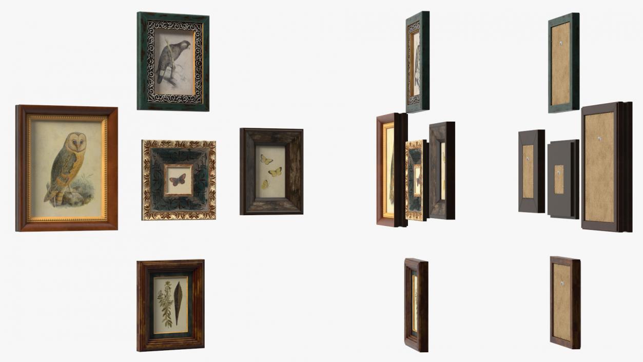 3D model Vintage Ornate Frames Set