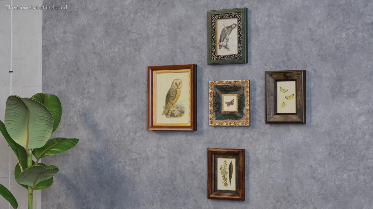 3D model Vintage Ornate Frames Set