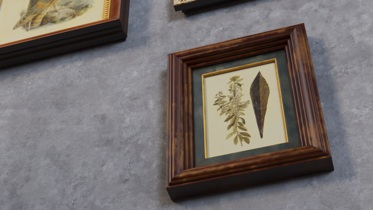 3D model Vintage Ornate Frames Set