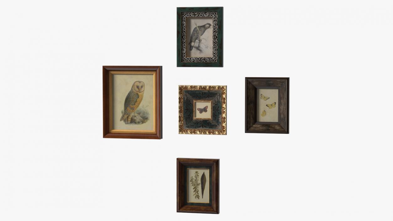 3D model Vintage Ornate Frames Set