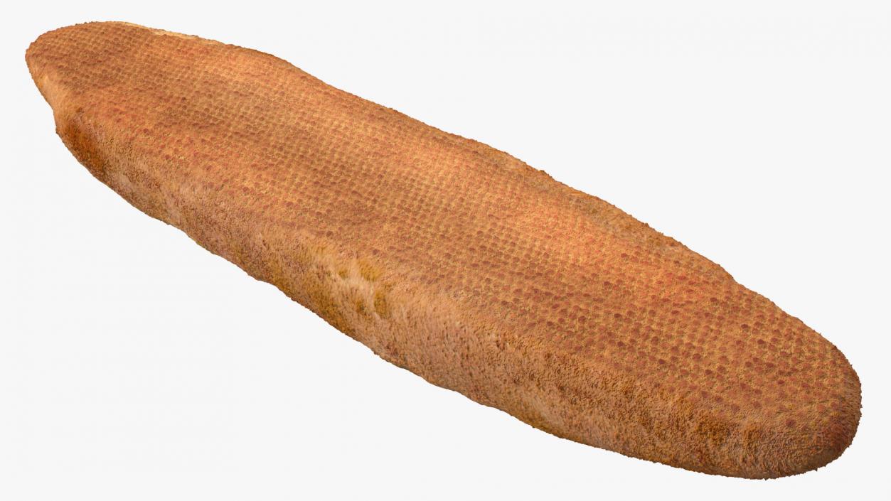 3D French Baguette Bread