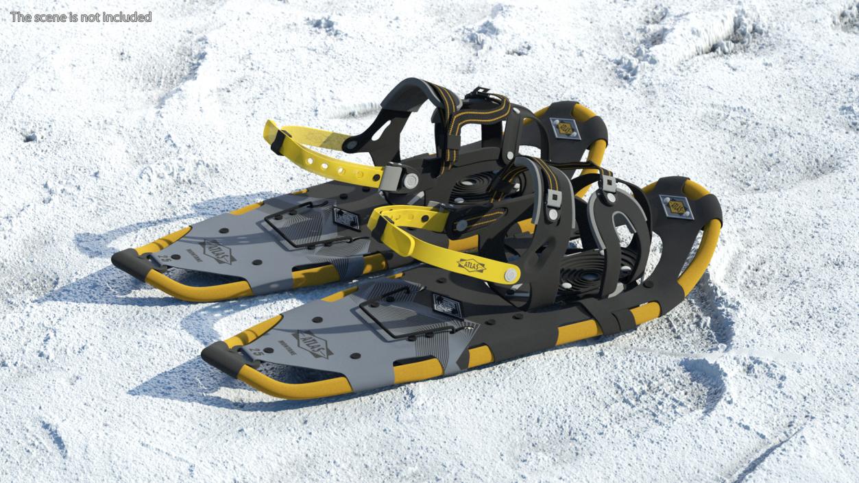 Snowshoes Atlas Yellow 3D