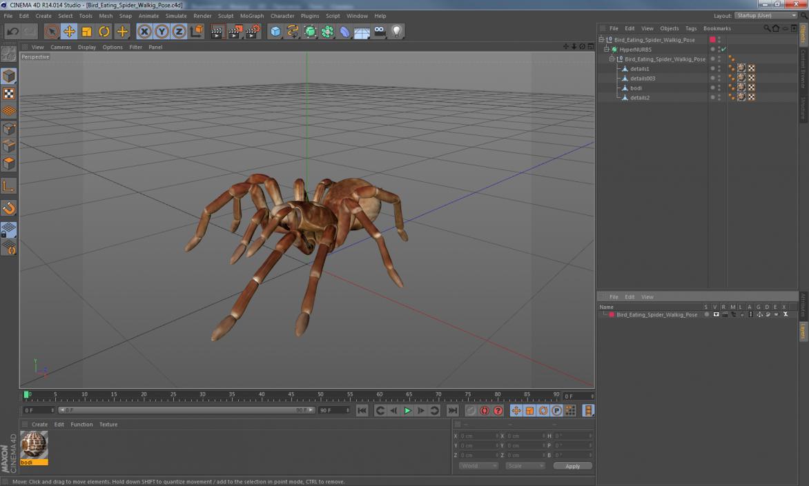 3D Bird Eating Spider Walking Pose