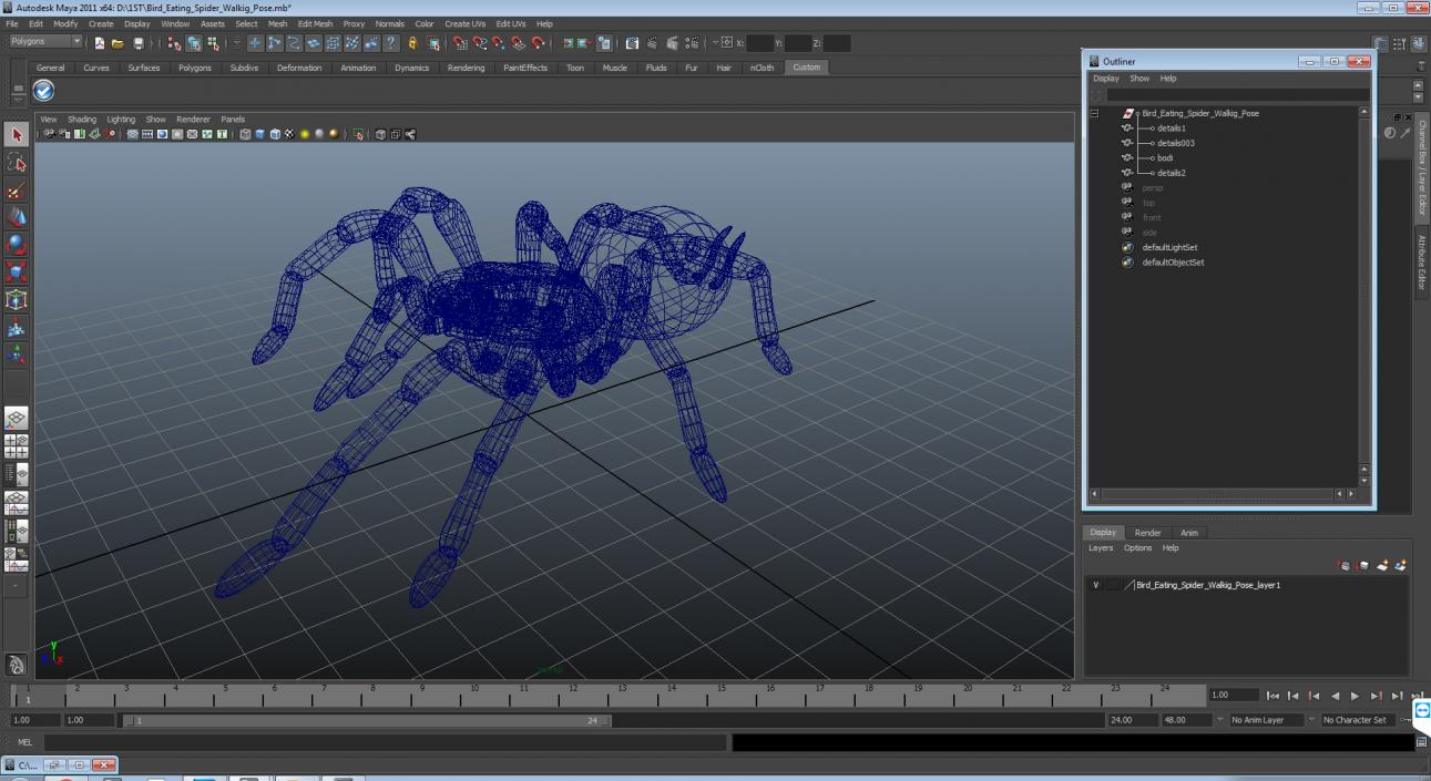 3D Bird Eating Spider Walking Pose