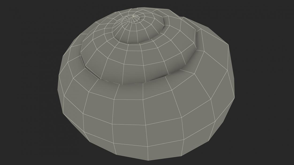 3D Realistic Snail Shell