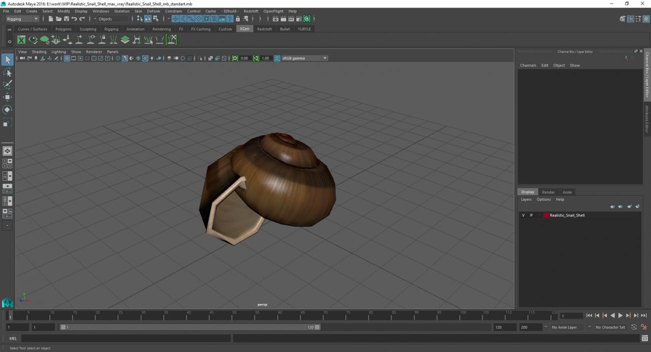 3D Realistic Snail Shell