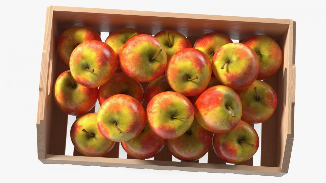 Beech Wood Rack With Apples 3D