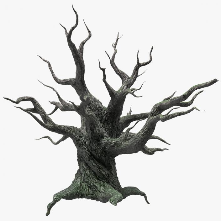 3D Spooky Old Twisted Tree model