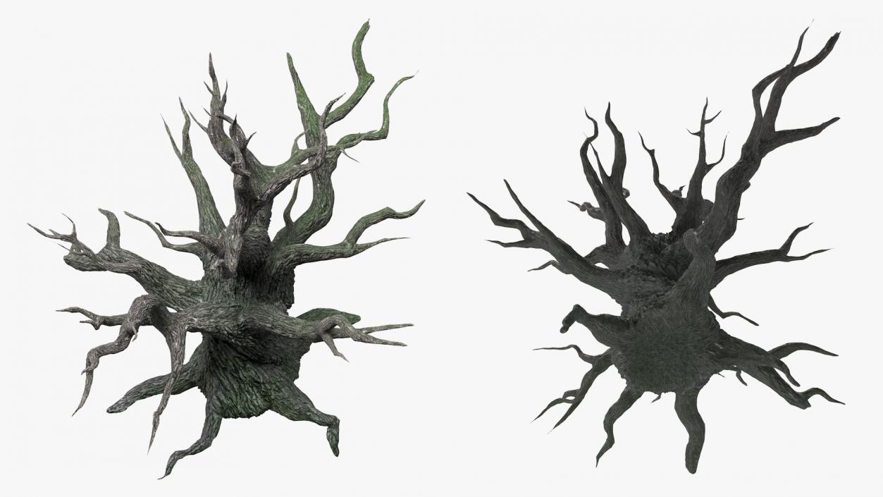 3D Spooky Old Twisted Tree model