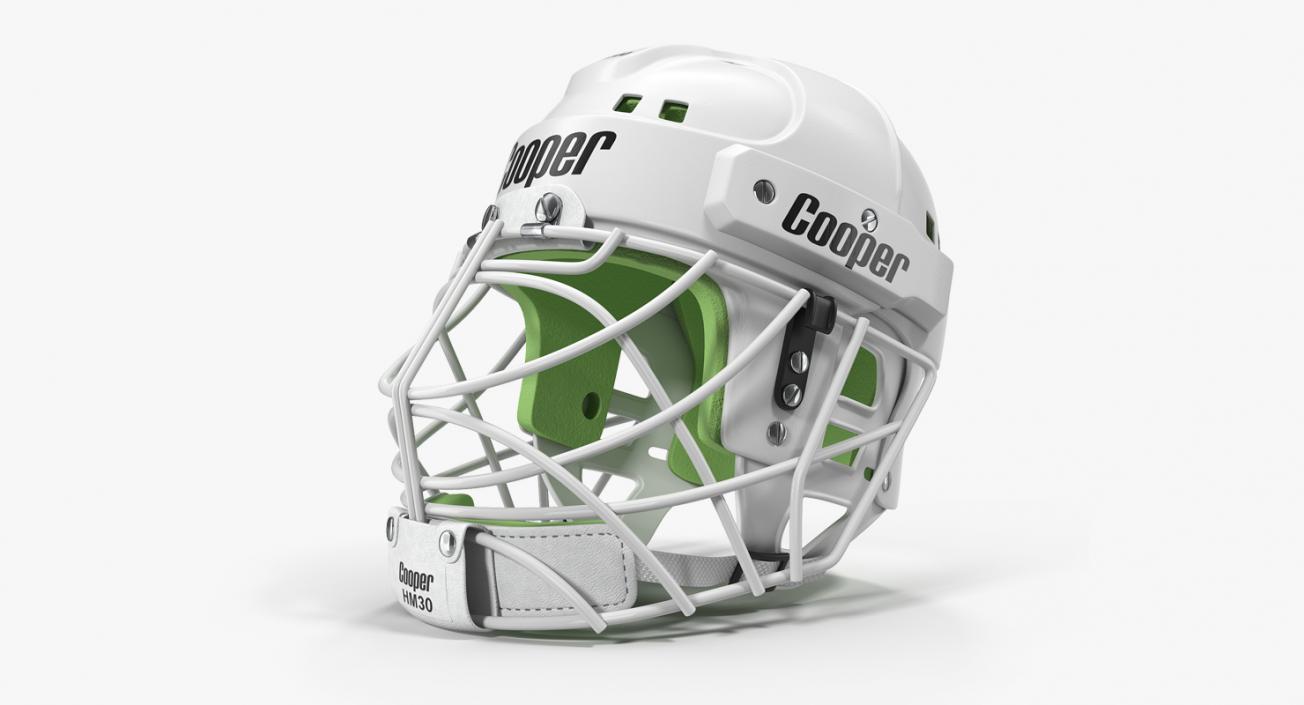 3D Hockey Helmet Face Mask model