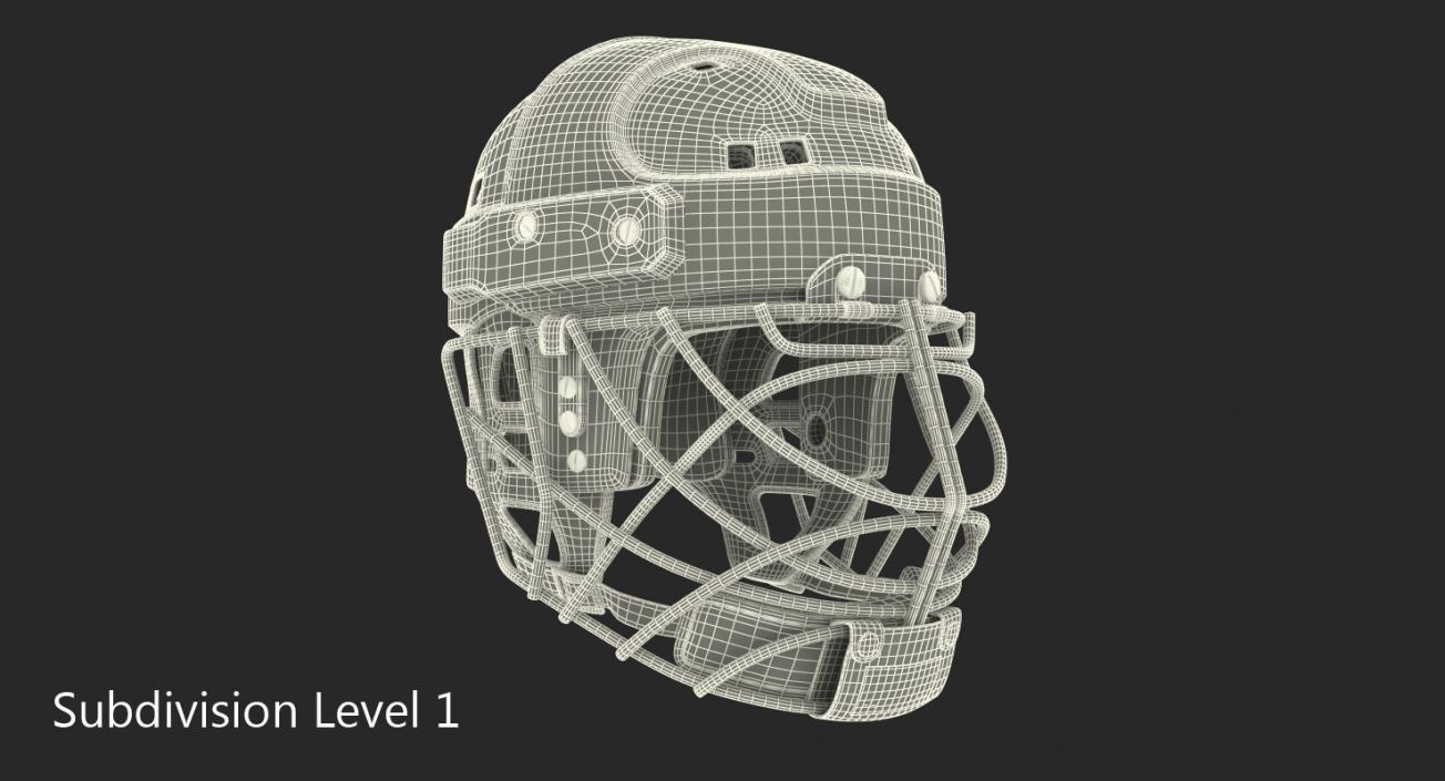 3D Hockey Helmet Face Mask model