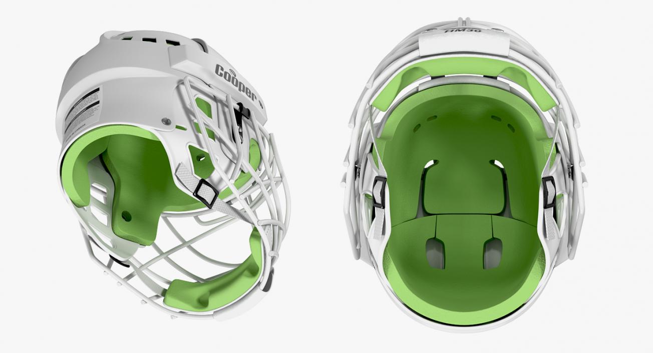 3D Hockey Helmet Face Mask model