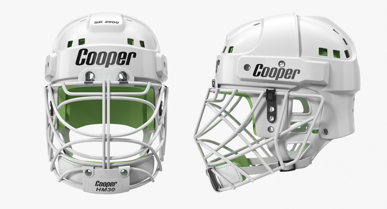 3D Hockey Helmet Face Mask model