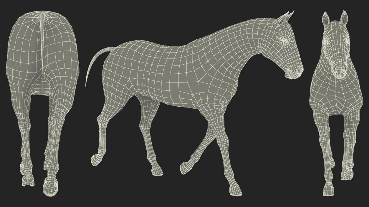 3D model White Horse Gait Fur