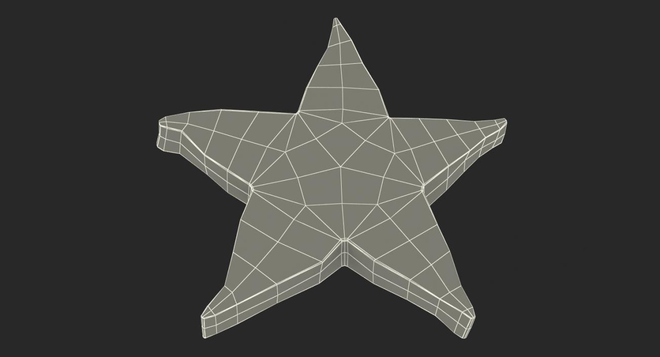 Star Fruit Or Carambola Slice 3D model