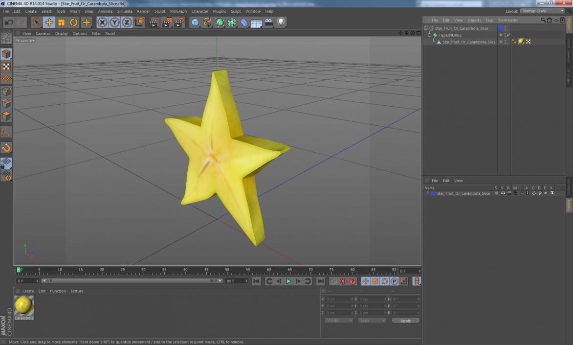 Star Fruit Or Carambola Slice 3D model