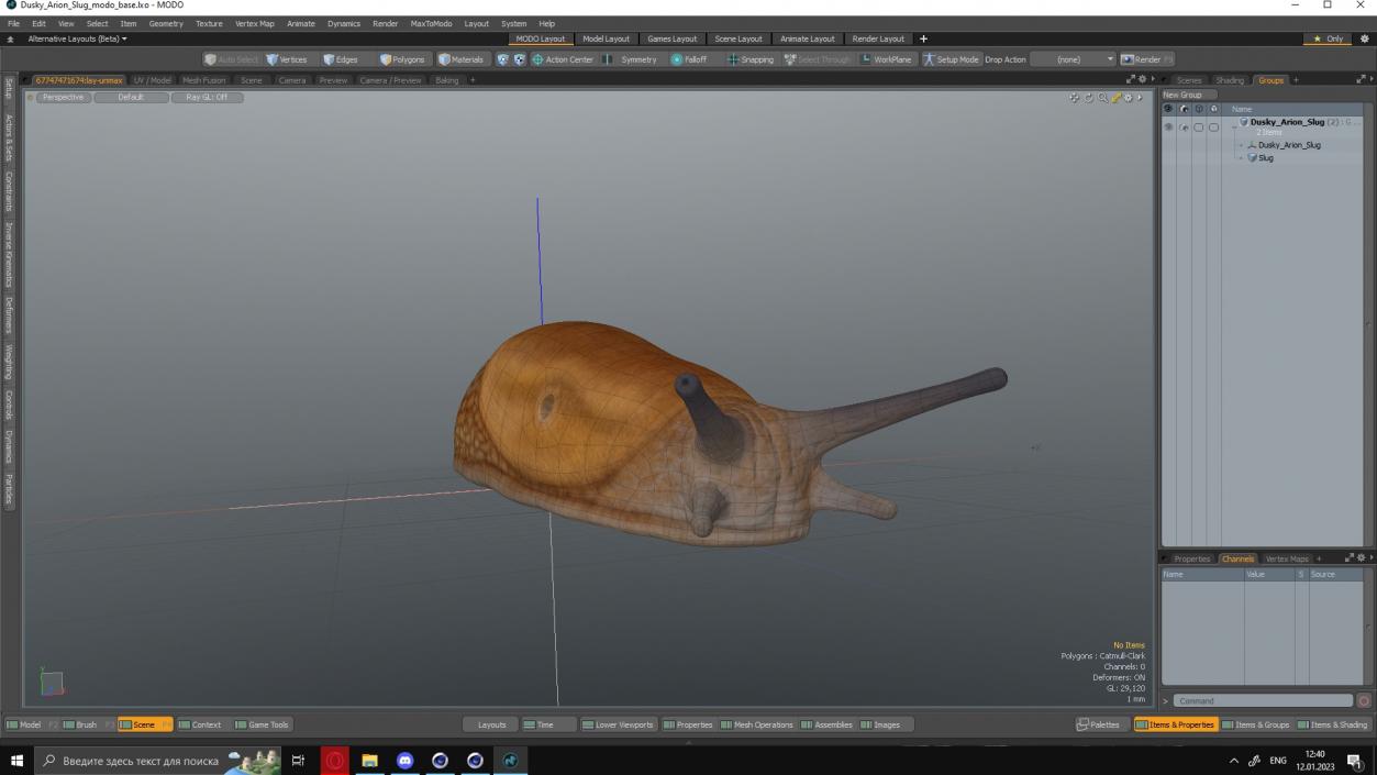 3D Dusky Arion Slug