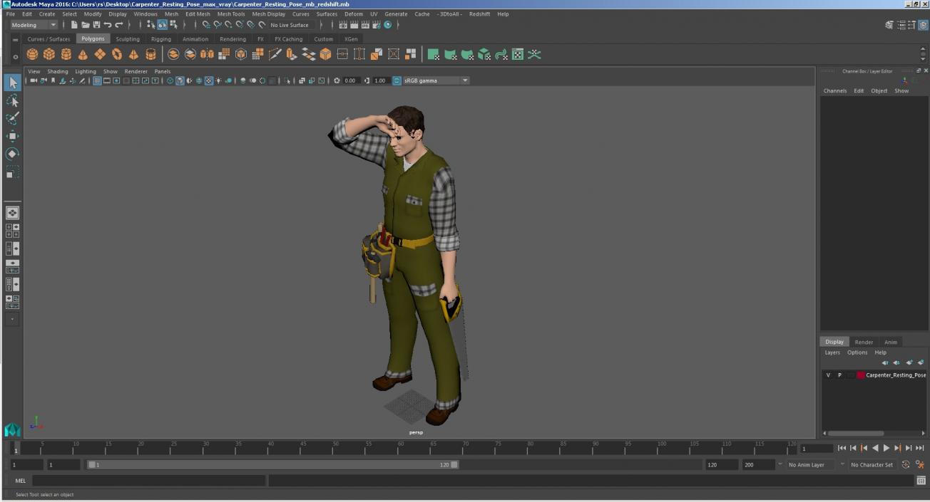 Carpenter Resting Pose 3D