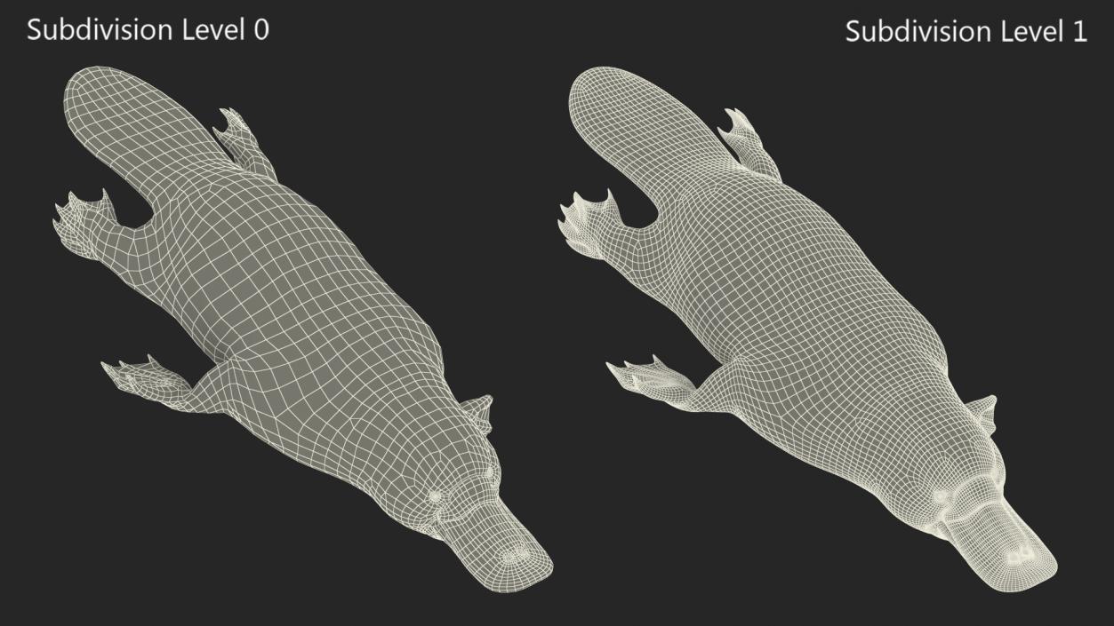 Platypus Swimming Pose 3D