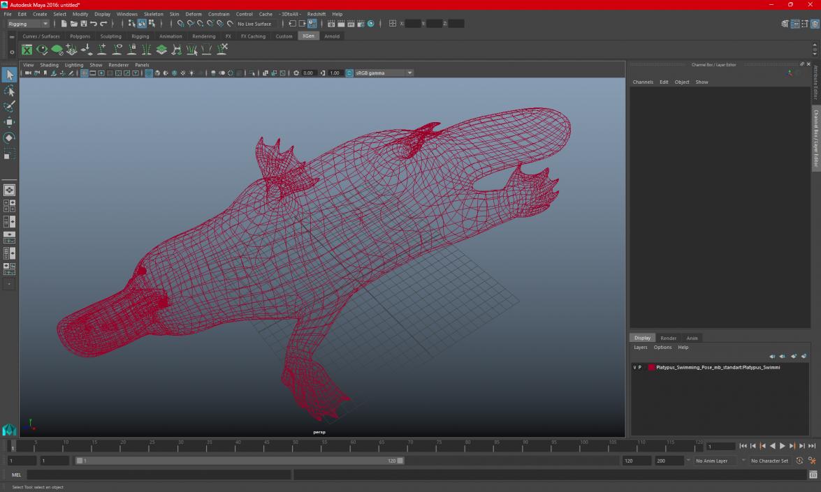 Platypus Swimming Pose 3D