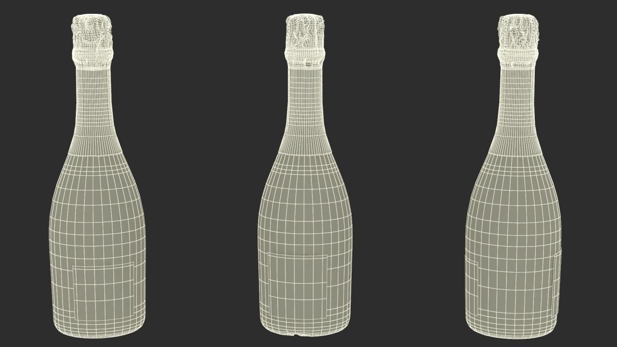 3D Mockup Sparkling Wine Bottle model