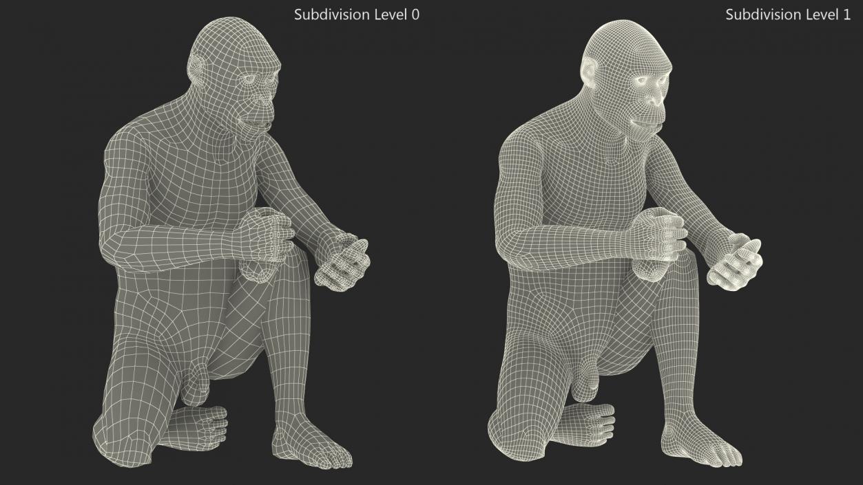 Homo Habilis in a Sitting Pose Fur 3D model