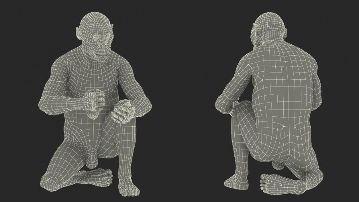 Homo Habilis in a Sitting Pose Fur 3D model