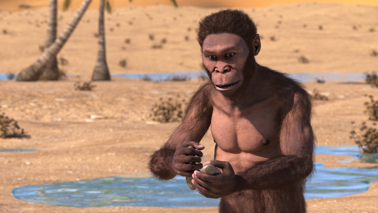 Homo Habilis in a Sitting Pose Fur 3D model