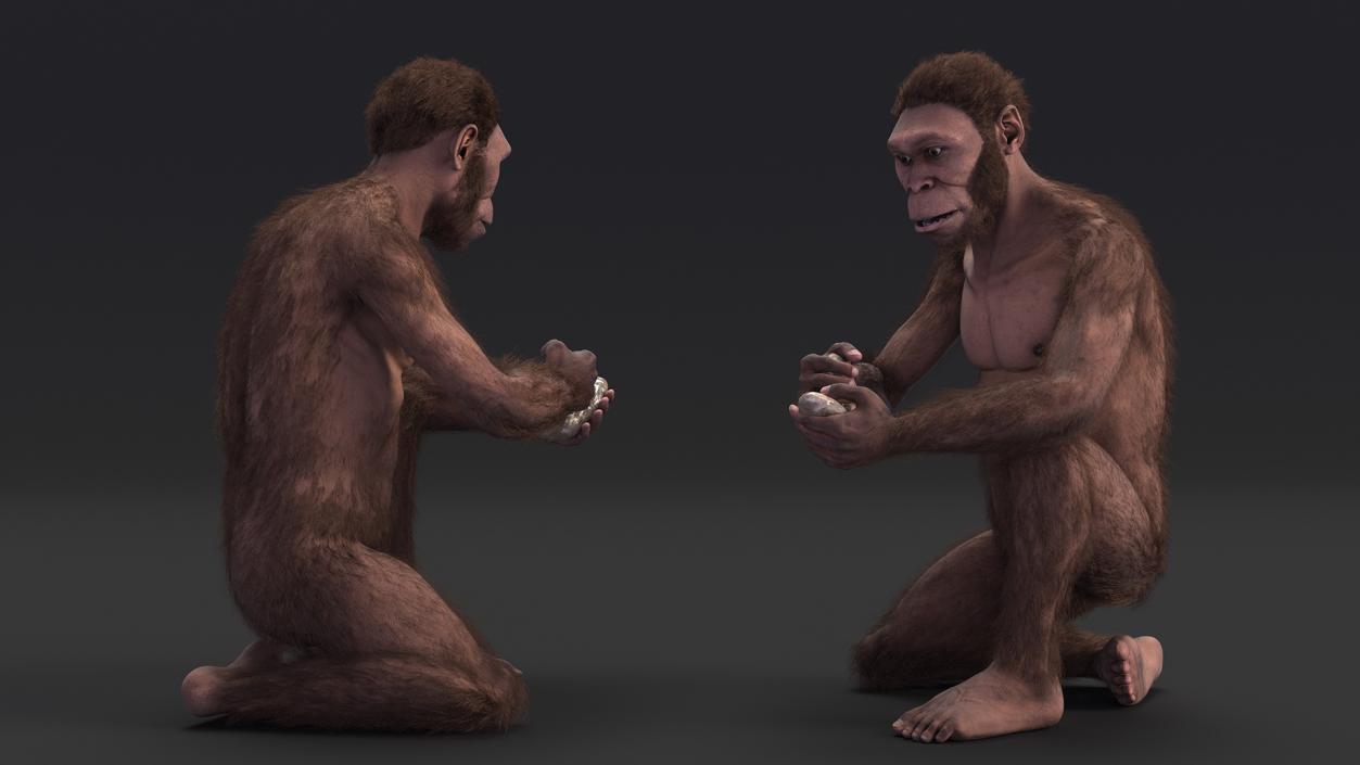 Homo Habilis in a Sitting Pose Fur 3D model