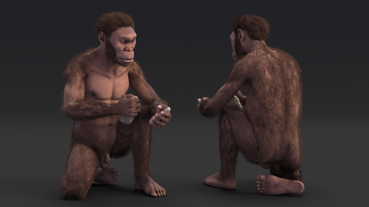 Homo Habilis in a Sitting Pose Fur 3D model