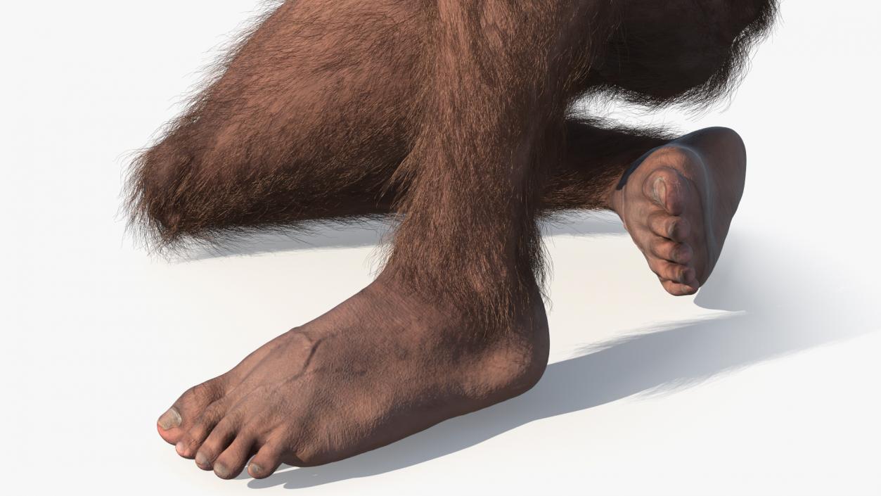 Homo Habilis in a Sitting Pose Fur 3D model