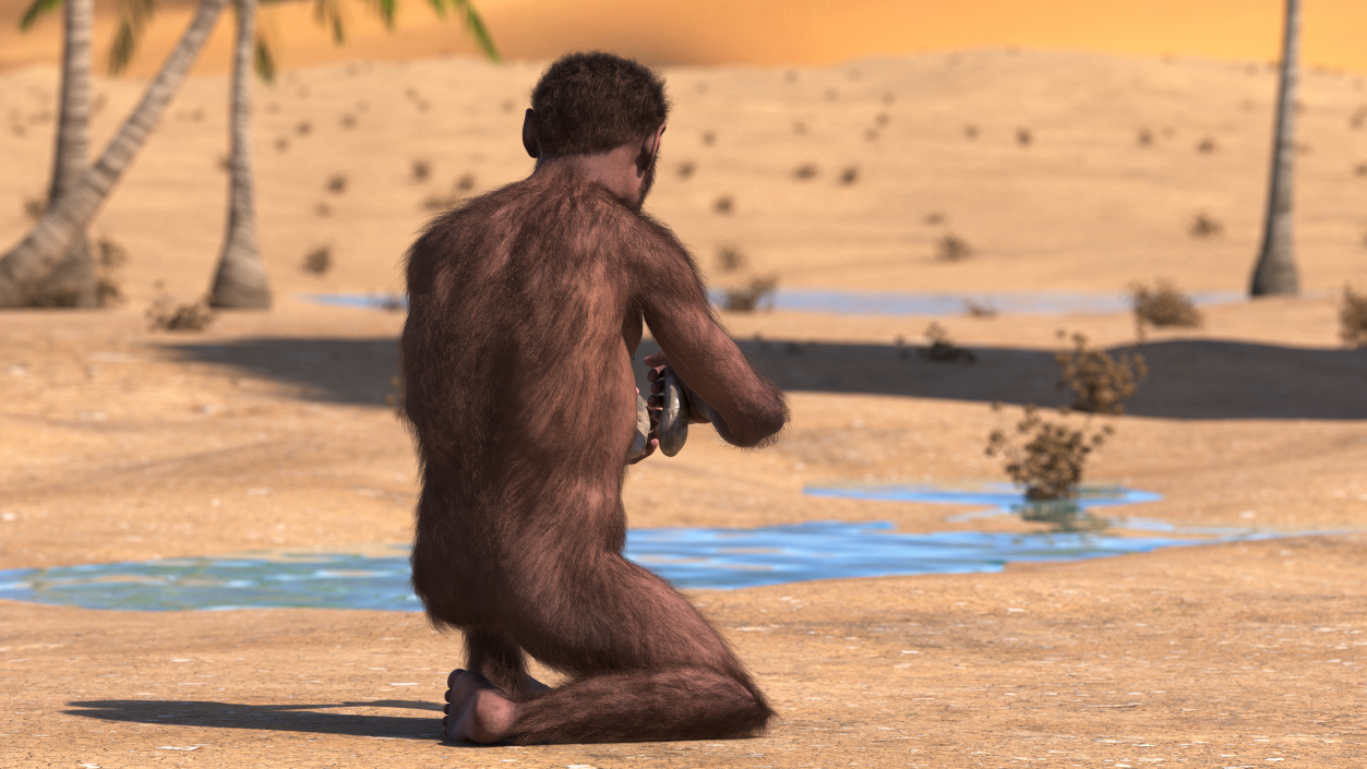 Homo Habilis in a Sitting Pose Fur 3D model