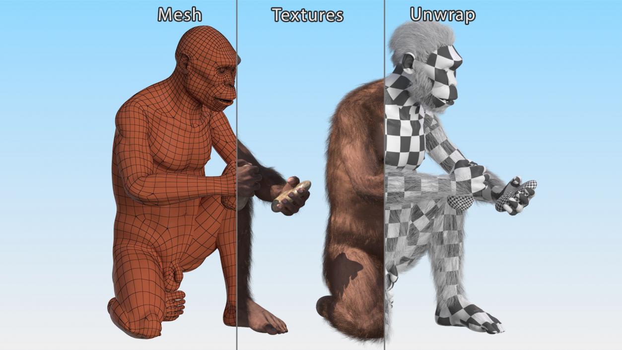 Homo Habilis in a Sitting Pose Fur 3D model