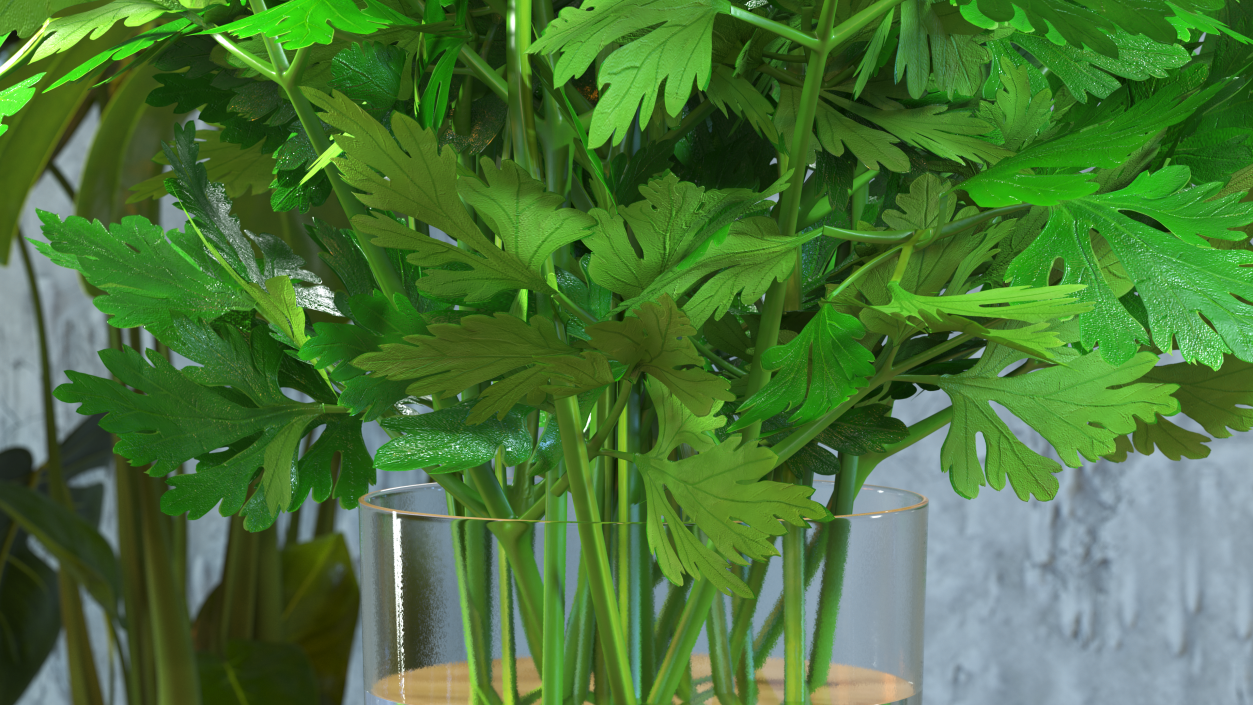 3D Fresh Bunch Parsley in Glass model