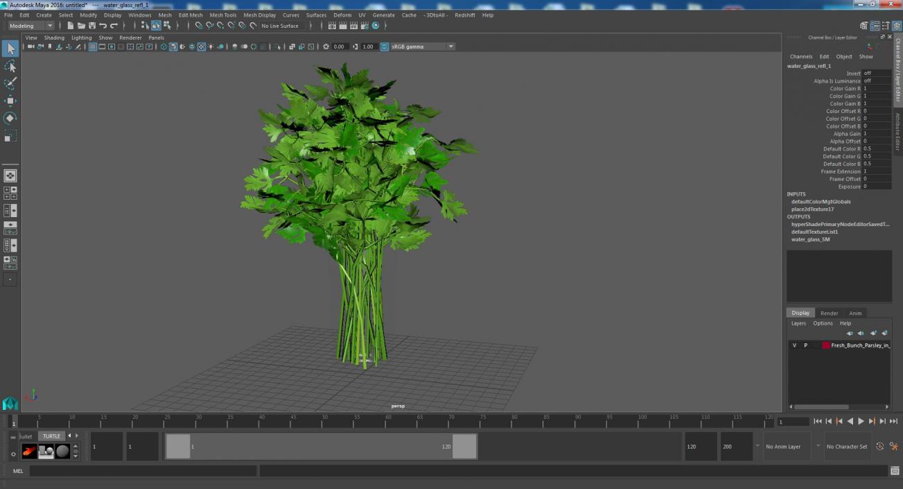 3D Fresh Bunch Parsley in Glass model