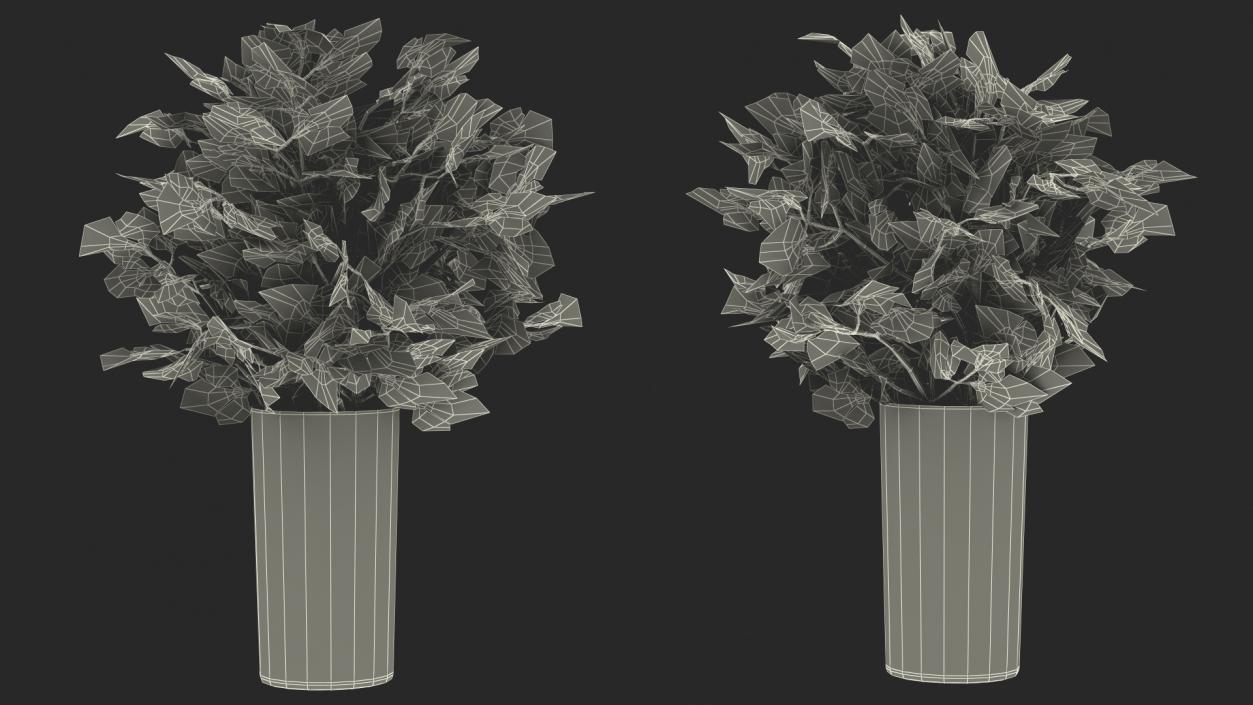 3D Fresh Bunch Parsley in Glass model