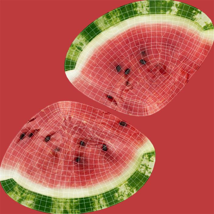 Sliced Watermelon 3D