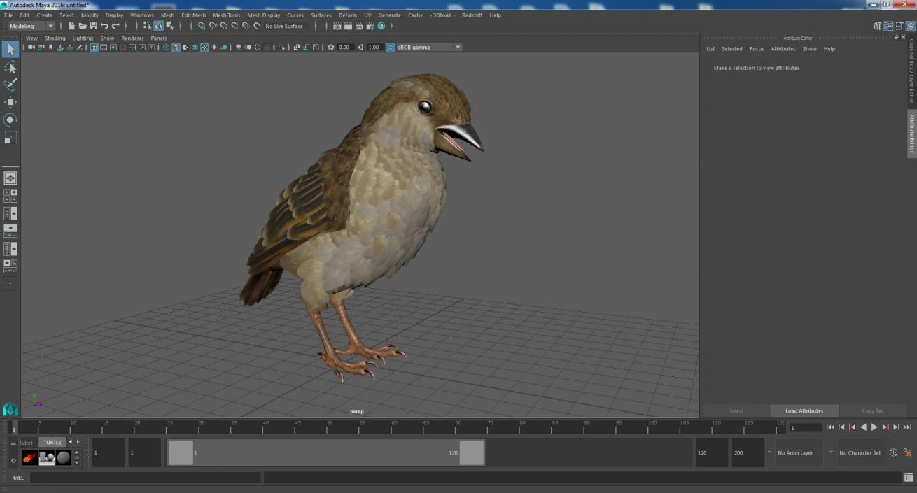 3D House Sparrow with Folded Wings