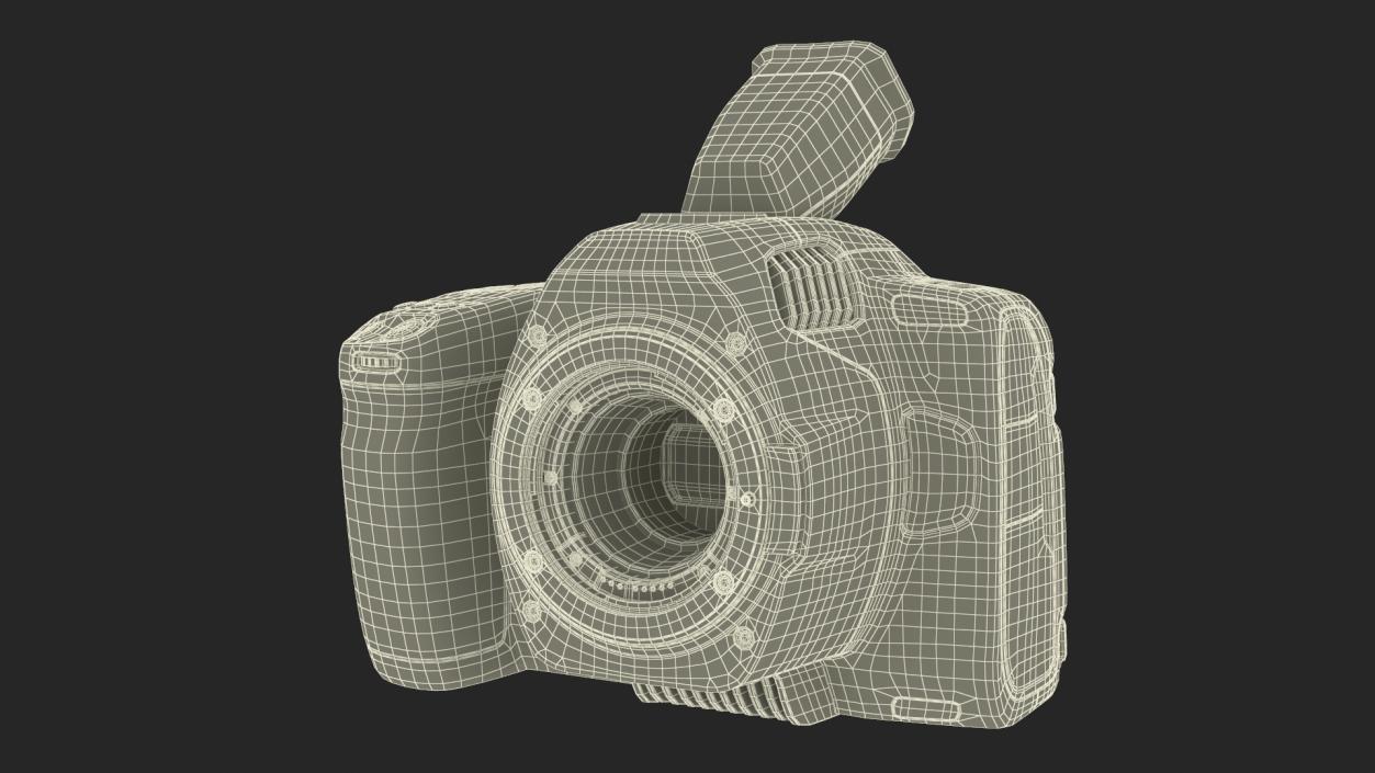 Professional Premium Camera 2 3D model