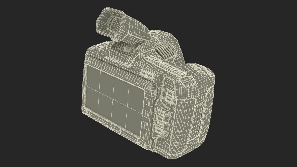 Professional Premium Camera 2 3D model