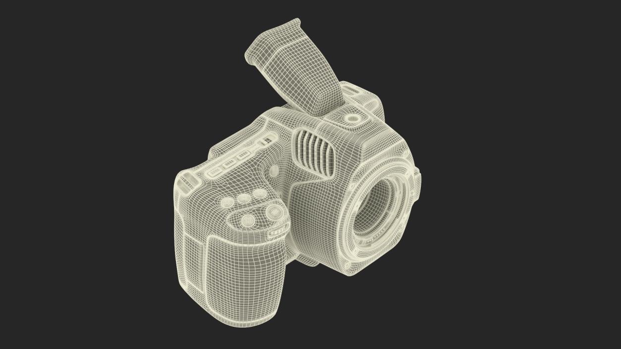 Professional Premium Camera 2 3D model